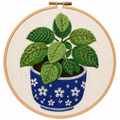 Basil Plant