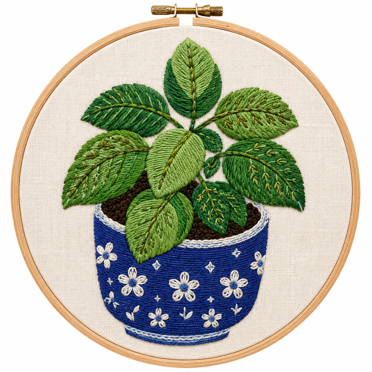Basil Plant